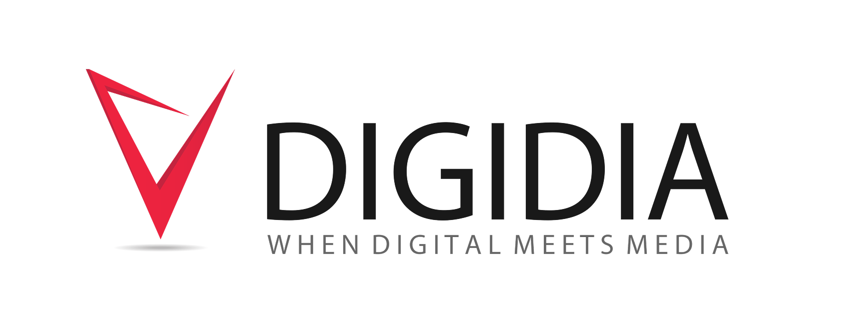 DigidiaBackend logo